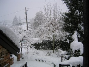 Snow place like West Vancouver !!! (Reema Faris) - © ReemaFaris.com